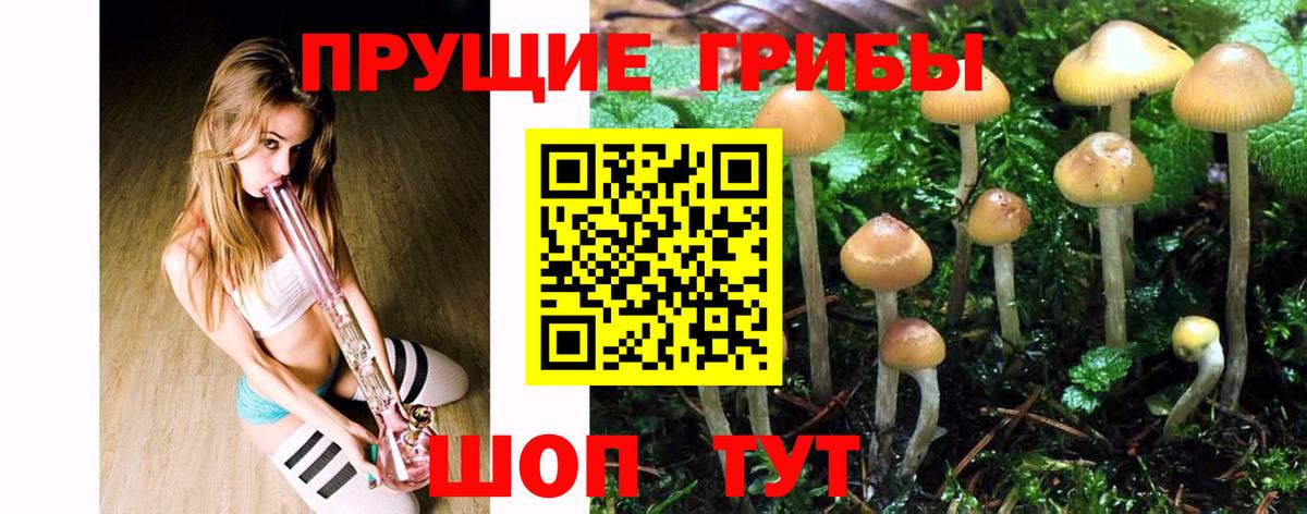 Галлюциногенные грибы Psilocybine cubensis  Псилоцибиновые грибы GOLDEN TEACHER  Удомля  Вход с VPN 